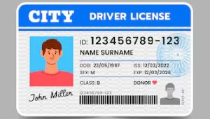 Drivers License