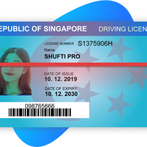 SINGAPORE DRIVER’S LICENSE